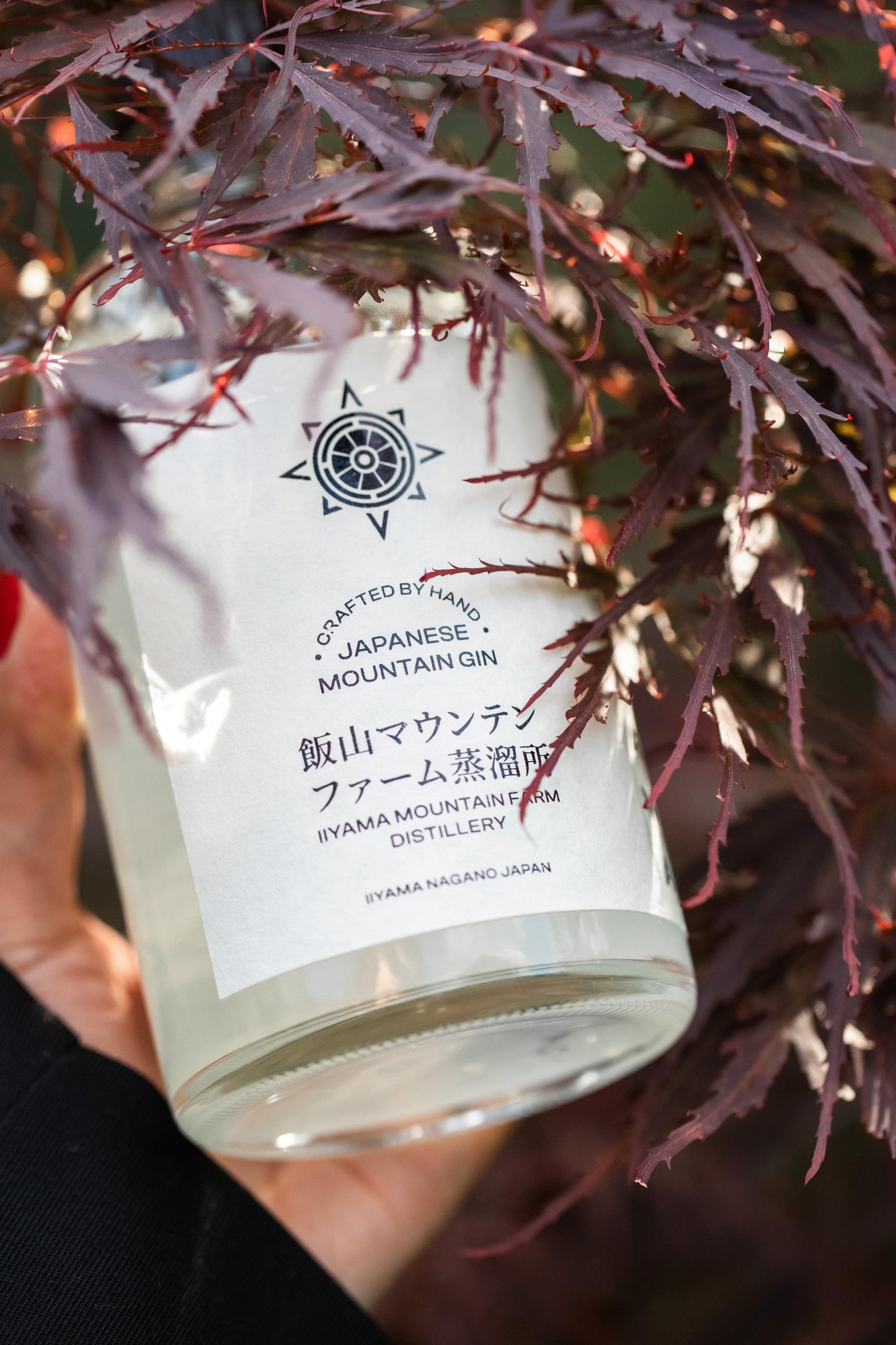 Kiyokawa Gin  47% DIAMOND CERTIFIED DISTILLERY