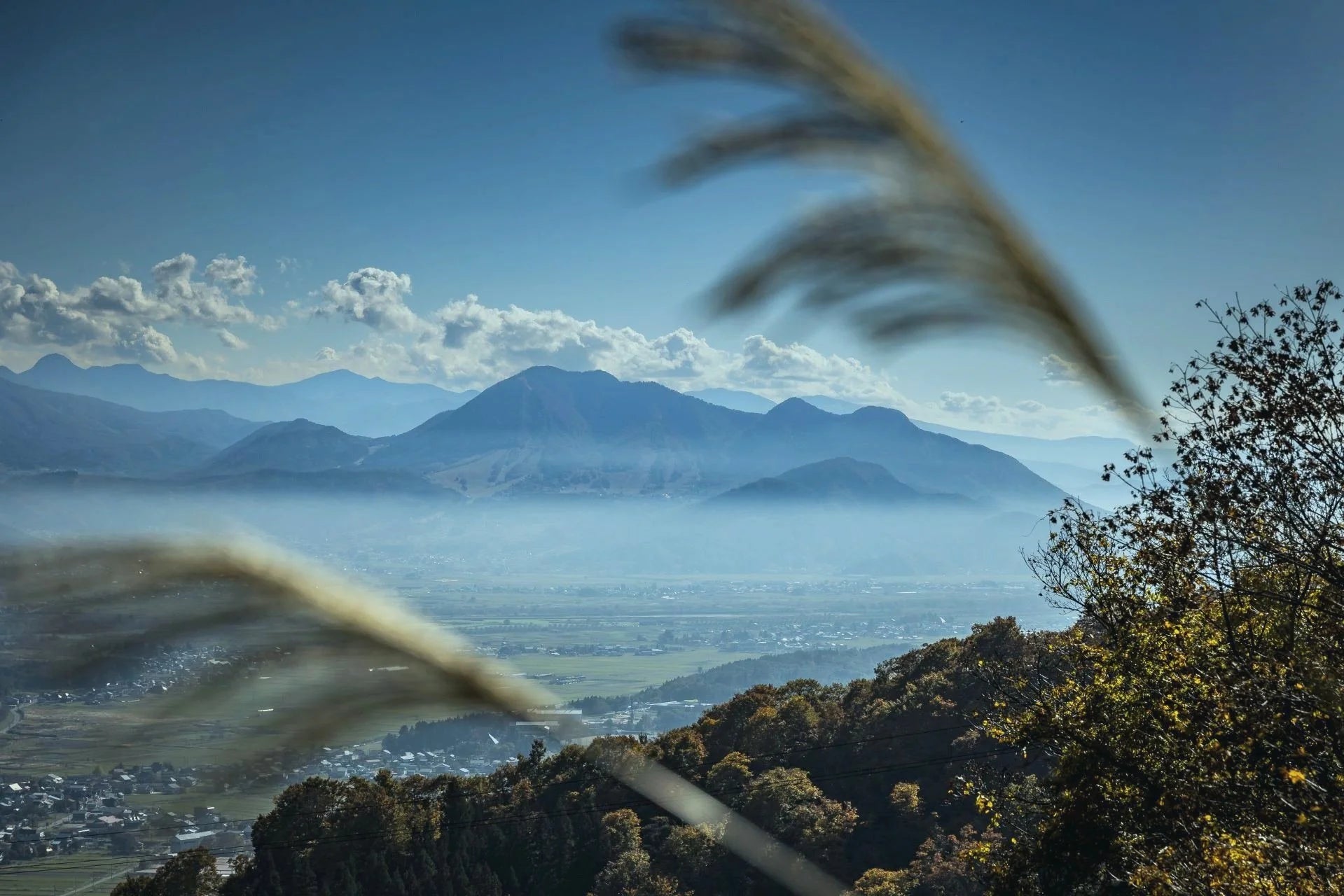 From Japan's Eternal Hometown